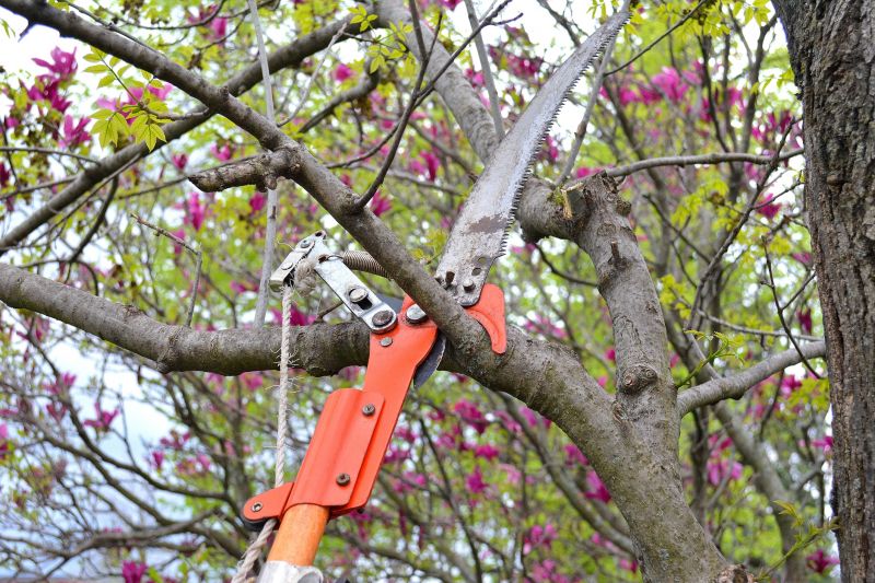 Type of Pruning Equipment